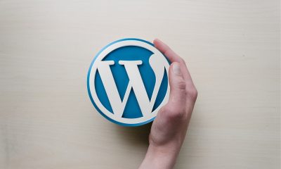 Top 5 Future Tips Forward to Next WordPress Custom Development Trends in 2024