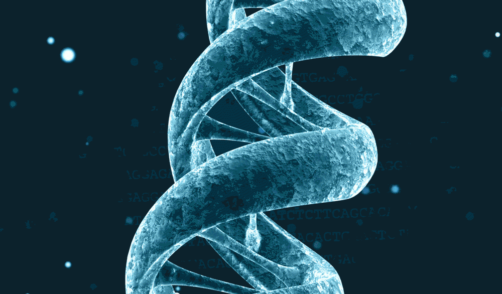 A Biophysical Journey From Quantum Mechanics to Cell Dynamics