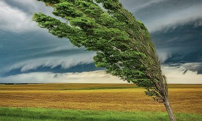 Wind Fury in Kansas, Power Outages in Houston