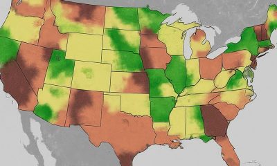 Renters Rejoice? Unveiling Apartment Affordability Trends