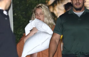 Britney Spears safe and at home after fight at Los Angeles hotel