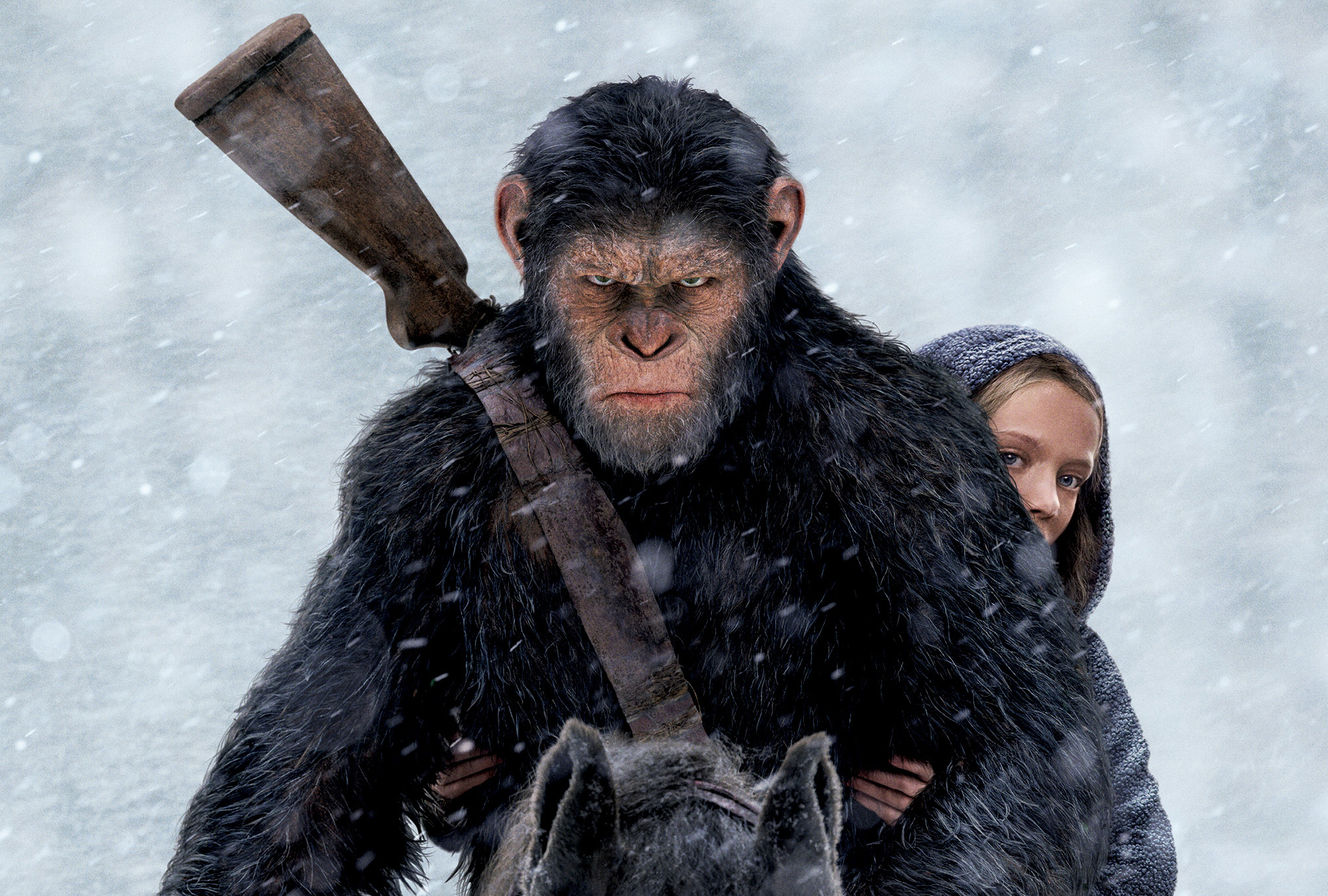 Kingdom of the Planet of the Apes: Unveiling a New Era