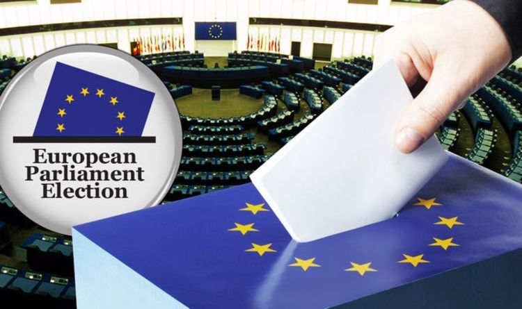 What the European Parliament Election Results Mean for the U.S. | Future Diplomatic Relations