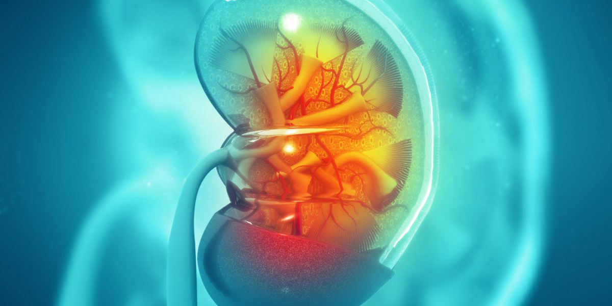 Exploring Lupus Nephritis Insights from Recent Research