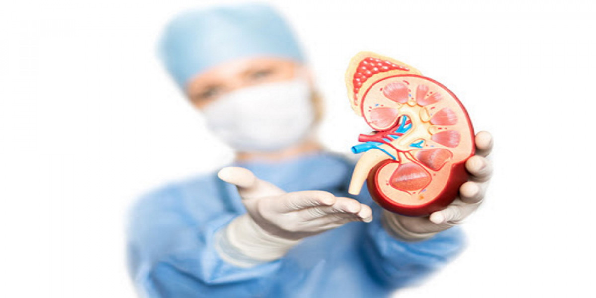 Exploring Lupus Nephritis Insights from Recent Research