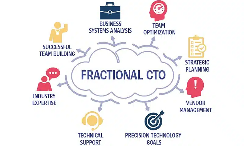 Fractional CTO