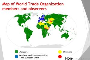 Role of the World Trade Organization (WTO): International Trade