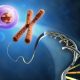 Epigenetics: Your Lifestyle's Impact on Disease