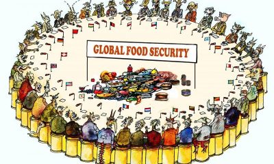 Global Food Security: Challenges and Innovations