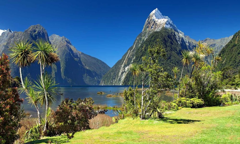 New Zealand's Climate Action Plan: A Model for Others?