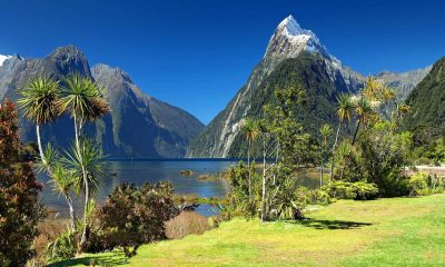 New Zealand's Climate Action Plan: A Model for Others?