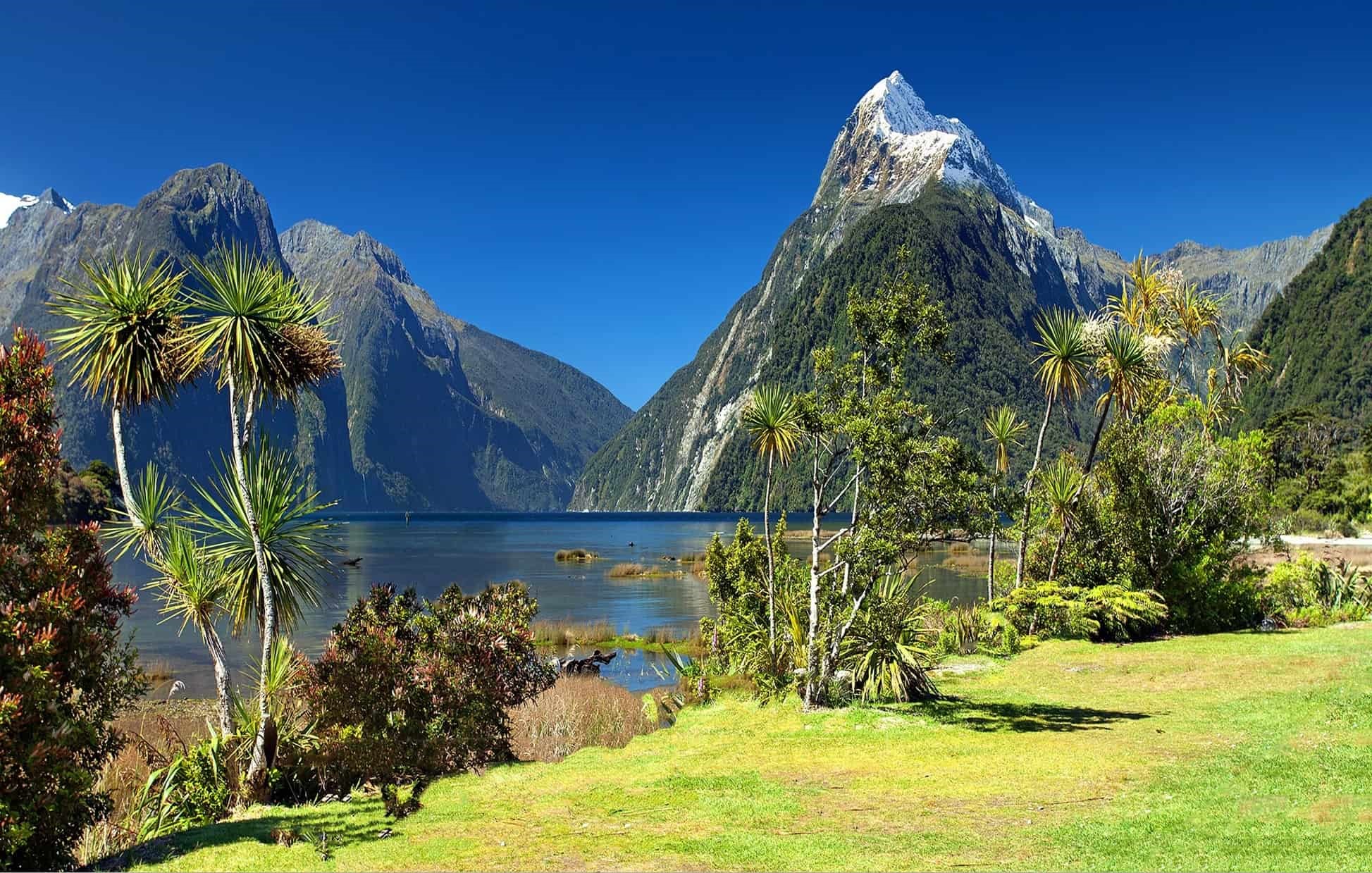 New Zealand's Climate Action Plan: A Model for Others?