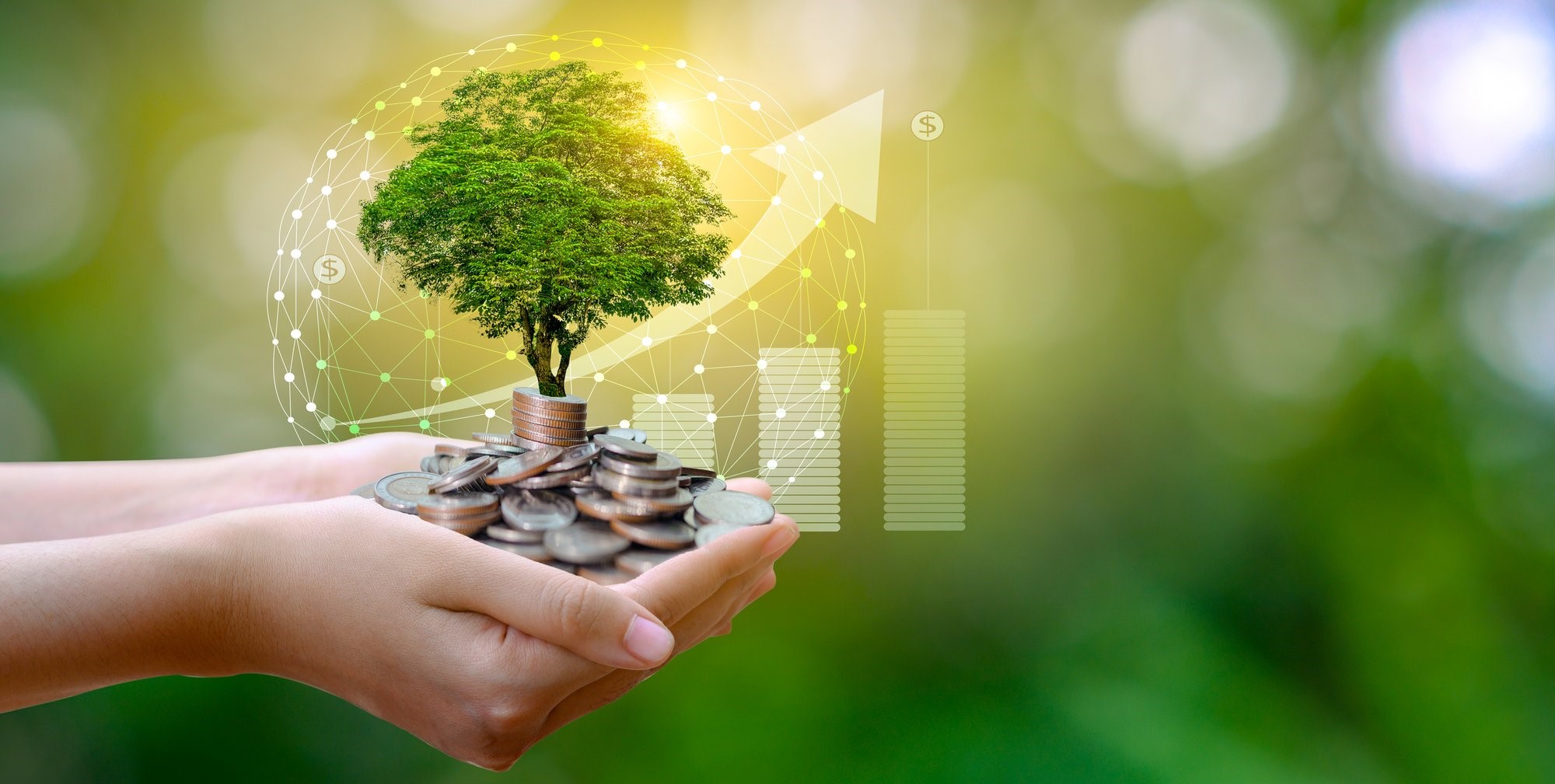 The Growth of Sustainable Investing: Trends and Insights