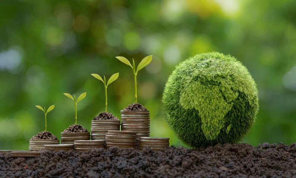 The Growth of Sustainable Investing Trends and Insights