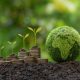 The Growth of Sustainable Investing Trends and Insights