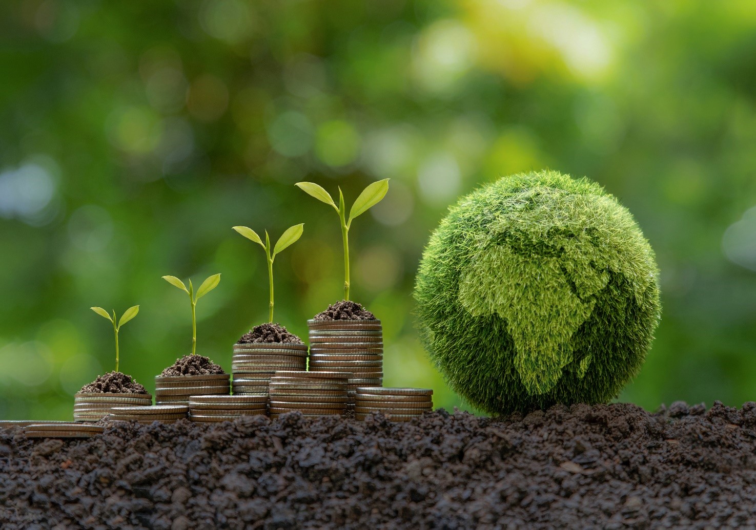 The Growth of Sustainable Investing Trends and Insights