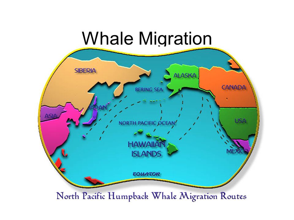 How Climate Change is Driving Global Migration Patterns