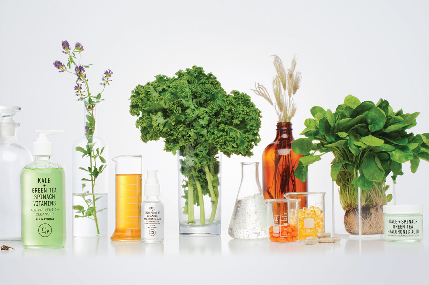 Plant-Based Beauty Products