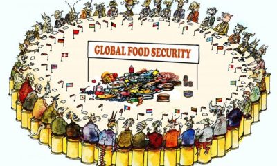 Global Food Security: Current Challenges and Solutions