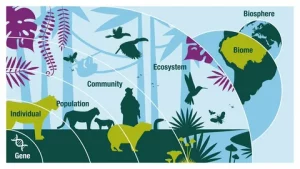 Support for biodiversity and ecosystems