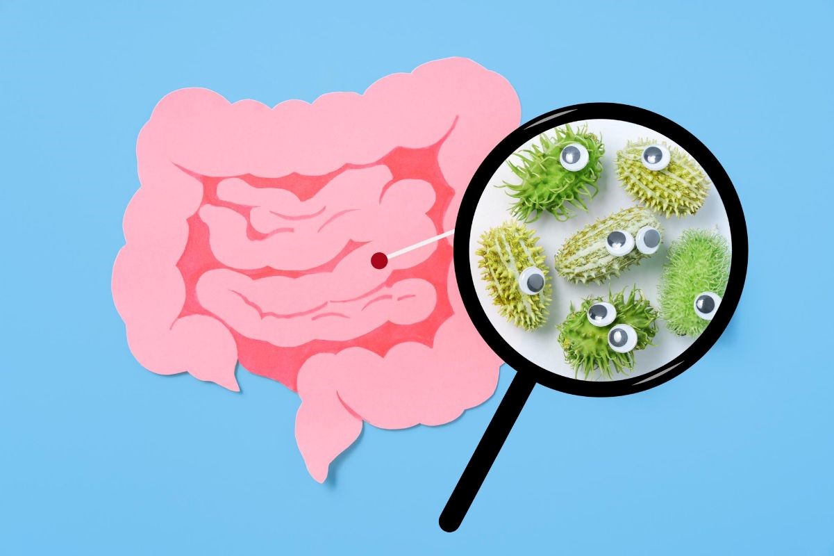 The Role of Probiotics in Gut Health: Latest Findings