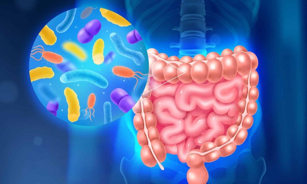 The Role of Probiotics in Gut Health: Latest Findings