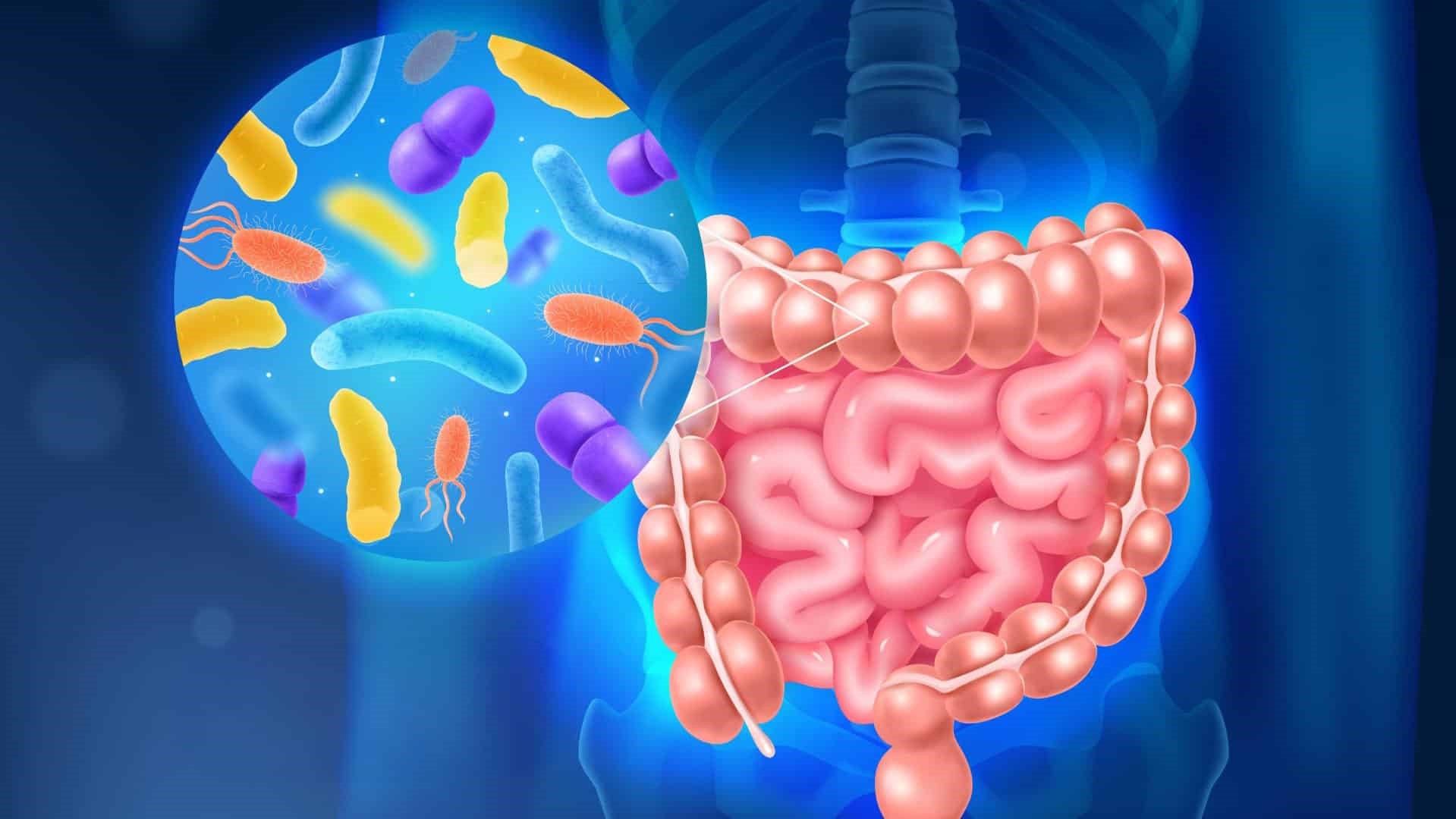 The Role of Probiotics in Gut Health: Latest Findings