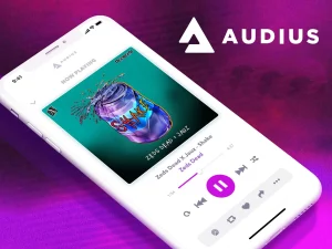 Audiio Music Licensing Services