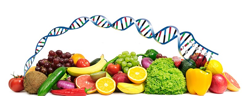 How Nutritional Genomics is Influencing Personalized Diets