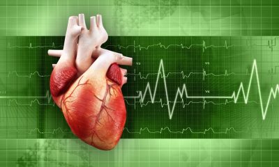 New Advances in Cardiovascular Health Monitoring