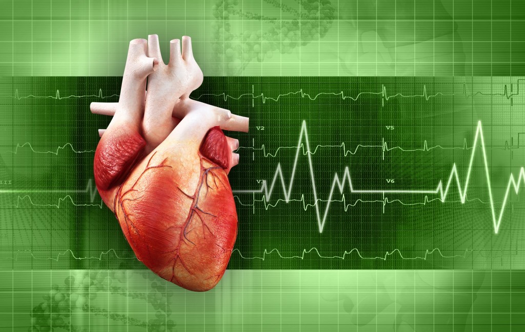 New Advances in Cardiovascular Health Monitoring