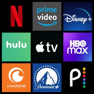 Video Streaming Platforms 2024