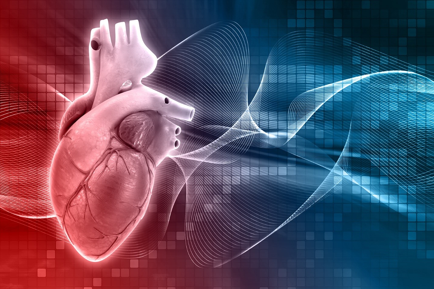 The Latest in Heart Health Research and Treatments