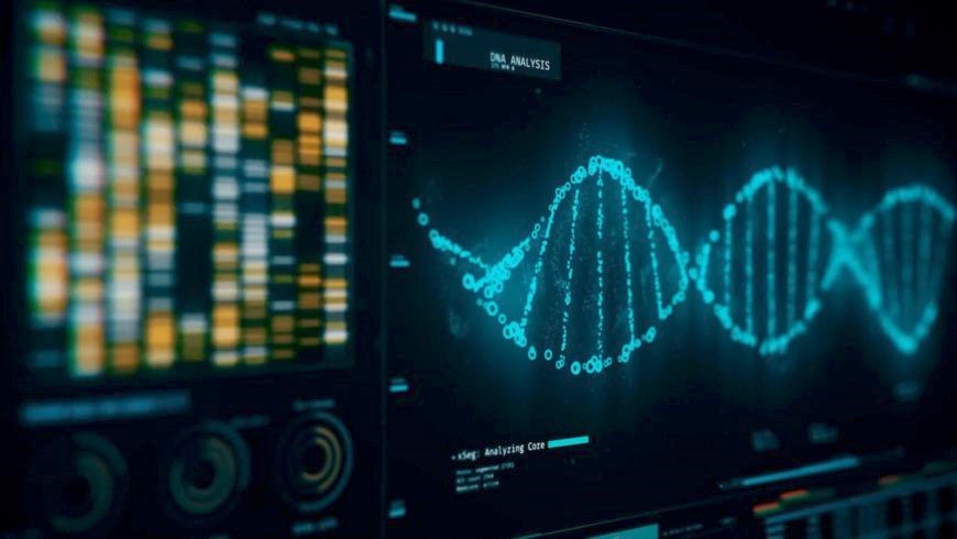 The Role of Bioinformatics in Modern Medicine