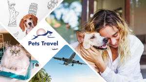 Travel with Your Pet Stress Free