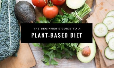 How to Create a Plant-Based Diet That Works for You