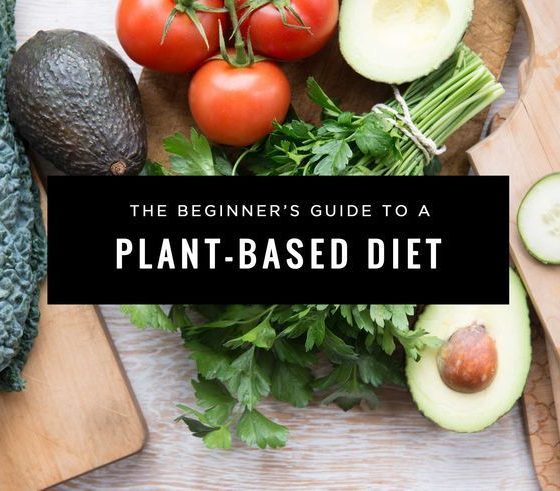 How to Create a Plant-Based Diet That Works for You