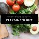 How to Create a Plant-Based Diet That Works for You