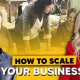 Scale Your Business