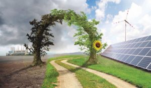 The Role of Renewable Energy in a Sustainable Future