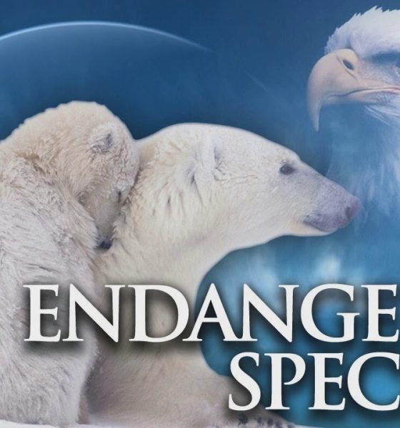 Endangered Species