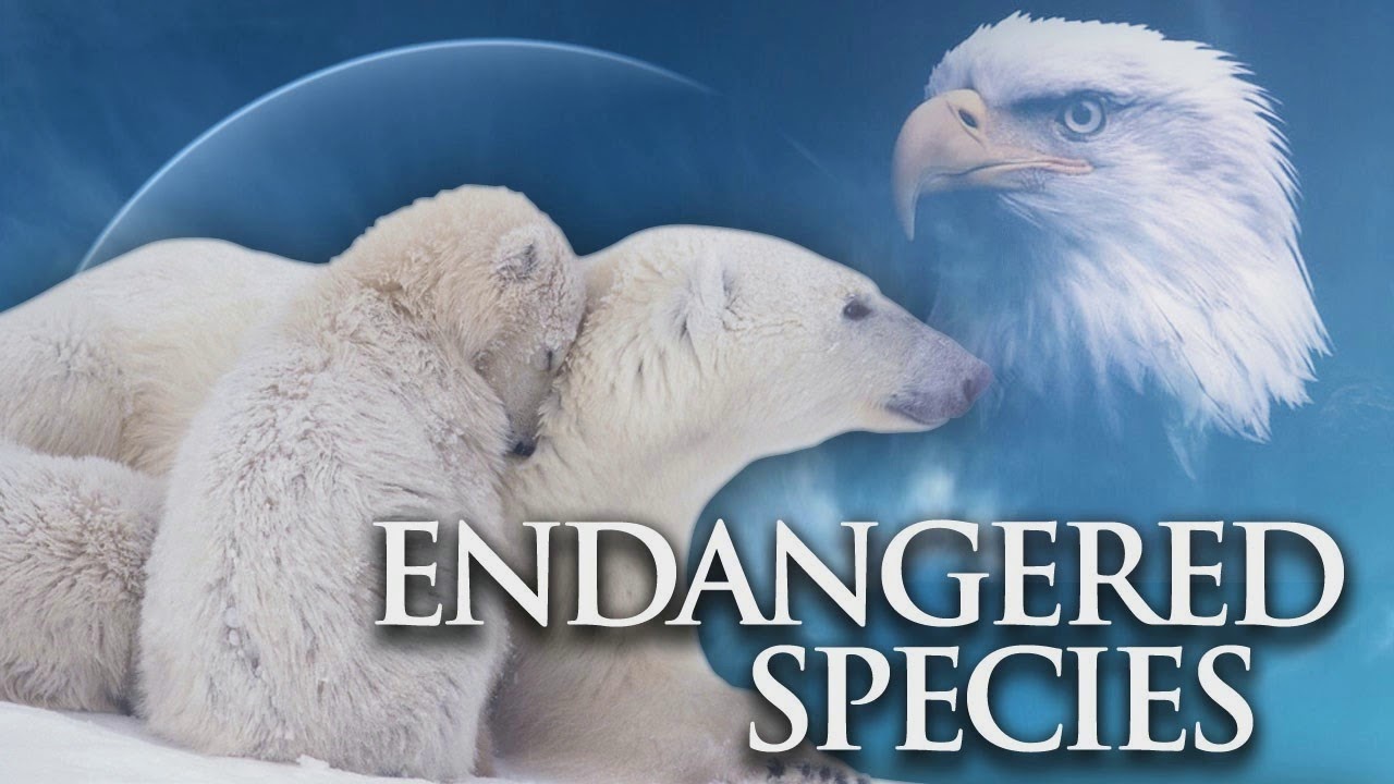 Endangered Species