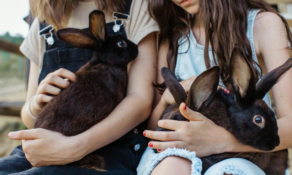 The Role of Pets in Child Development: How Animals Shape Young Minds