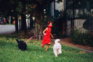 The Role of Pets in Child Development: How Animals Shape Young Minds