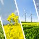 The Role of Renewable Energy in a Sustainable Future