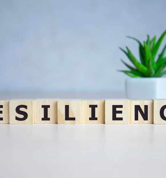 How to Build Stronger Emotional Resilience