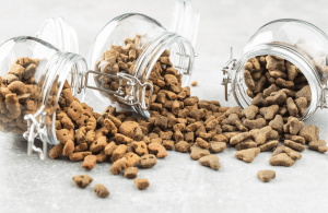 Crafting Balanced Nutrition Plans for Cats and Dogs
