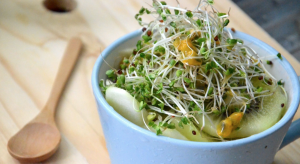 Plant-Based Superfood Benefits Backed by Scientific Research