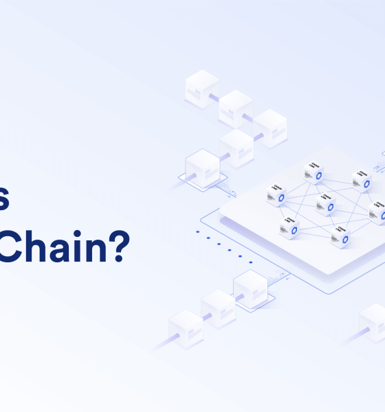 Is It Time for Skulls Ludo’s $SKL Token to Go Cross-Chain?