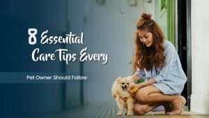 Pet Care 101